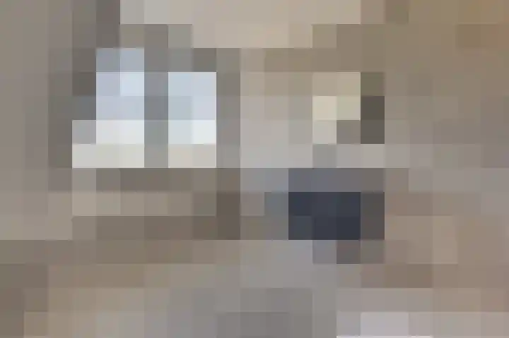 Derrienk 4 A Biggekerke thumbnail 42