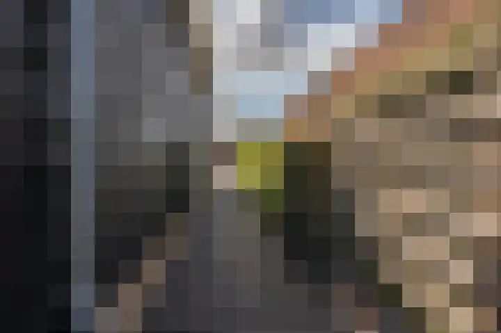 Derrienk 4 A Biggekerke thumbnail 7
