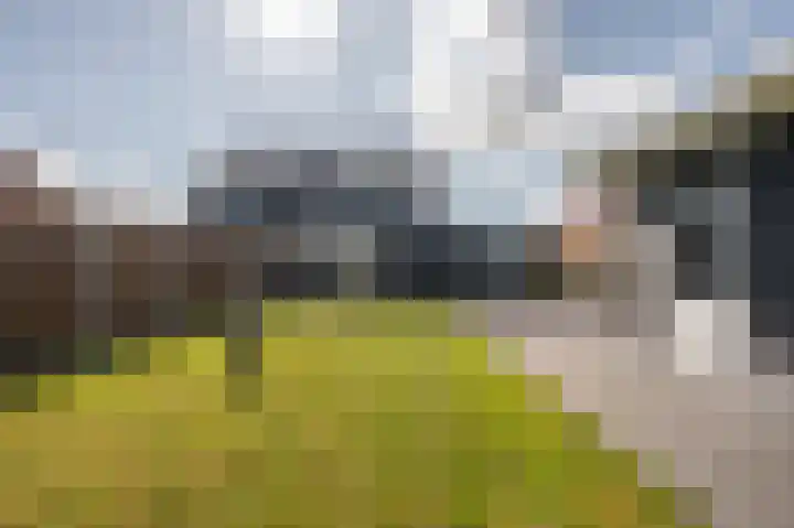Derrienk 4 A Biggekerke thumbnail 9