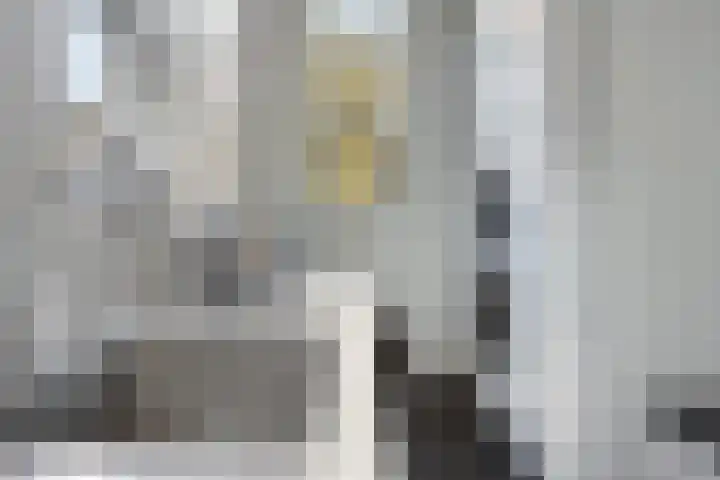 Dertien Loten 55 's-Hertogenbosch thumbnail 13