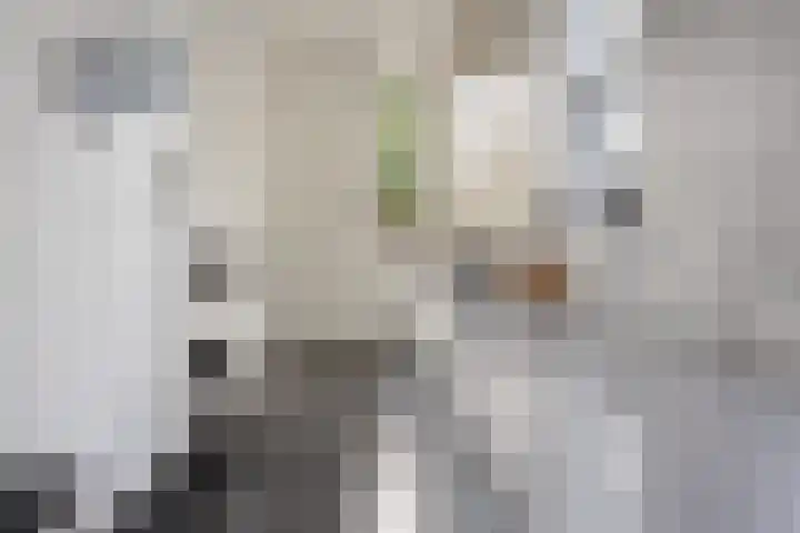 Dertien Loten 55 's-Hertogenbosch thumbnail 14