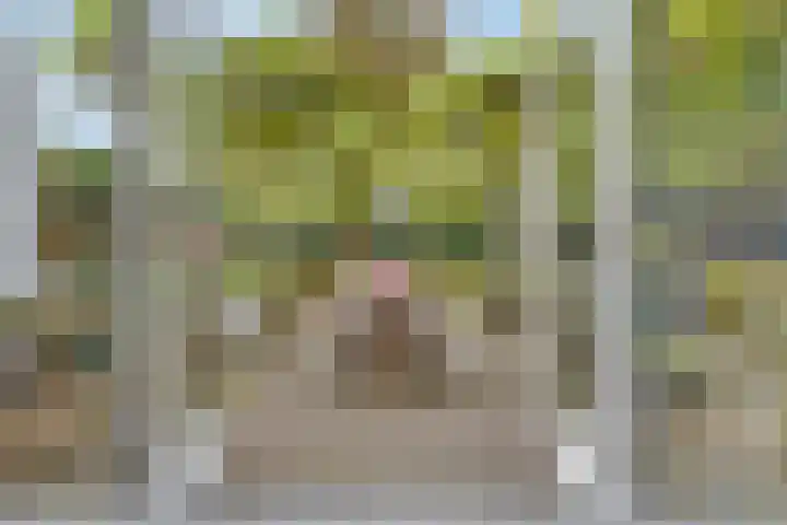 Dertien Loten 55 's-Hertogenbosch thumbnail 16