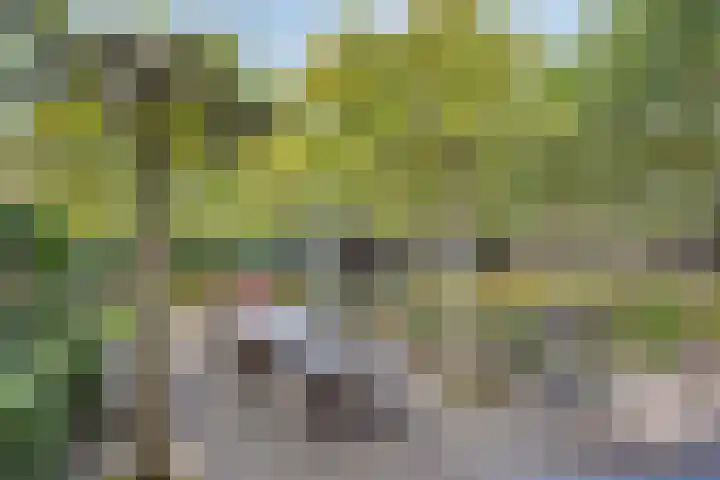 Dertien Loten 55 's-Hertogenbosch thumbnail 17