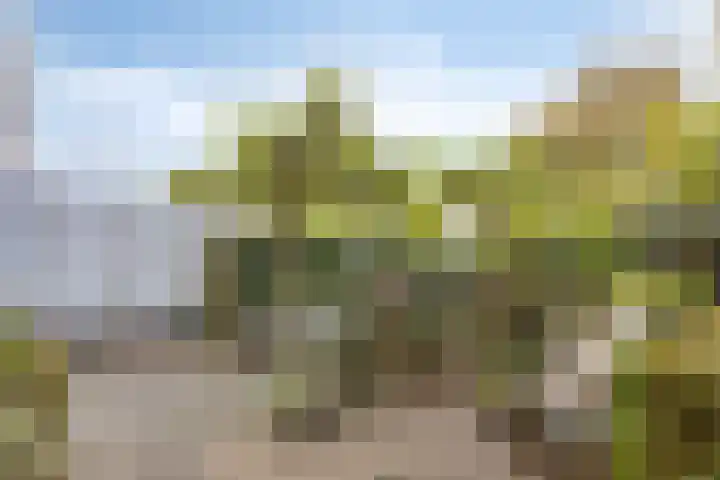 Dertien Loten 55 's-Hertogenbosch thumbnail 18