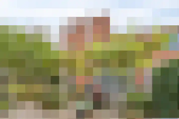 Dertien Loten 55 's-Hertogenbosch thumbnail 21