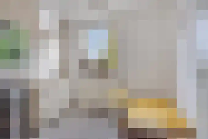 Dertien Loten 55 's-Hertogenbosch thumbnail 29