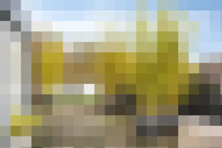 Dertien Loten 55 's-Hertogenbosch thumbnail 38