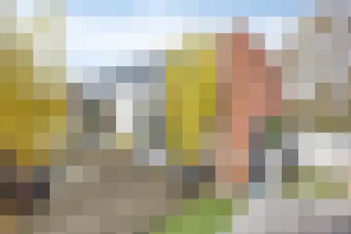 Dertien Loten 55 's-Hertogenbosch thumbnail 39