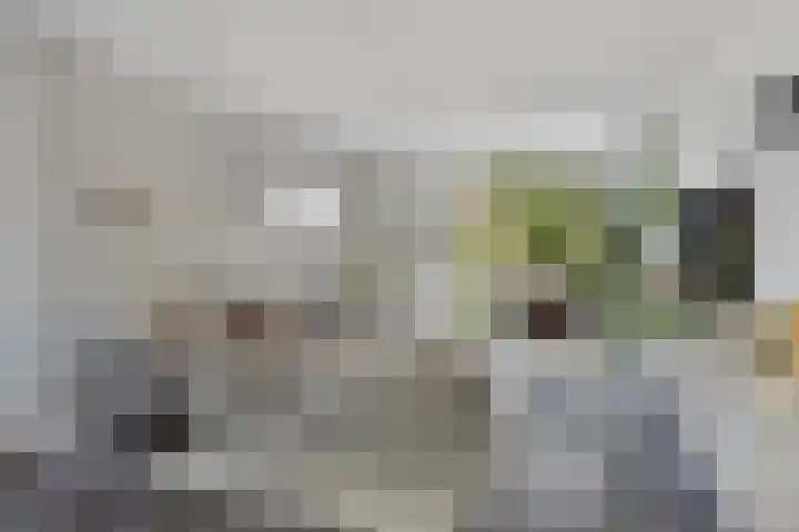 Dertien Loten 55 's-Hertogenbosch thumbnail 4