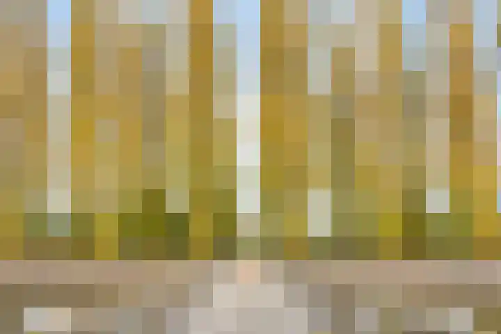Dertien Loten 55 's-Hertogenbosch thumbnail 48