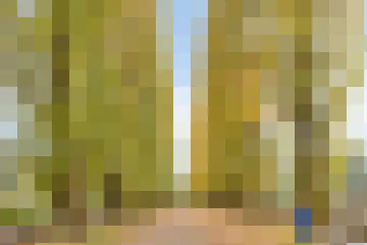 Dertien Loten 55 's-Hertogenbosch thumbnail 49