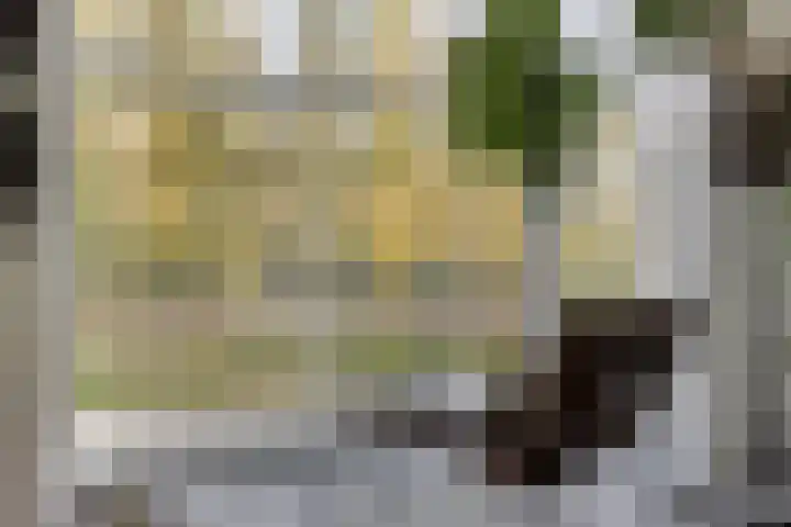 Dertien Loten 55 's-Hertogenbosch thumbnail 5