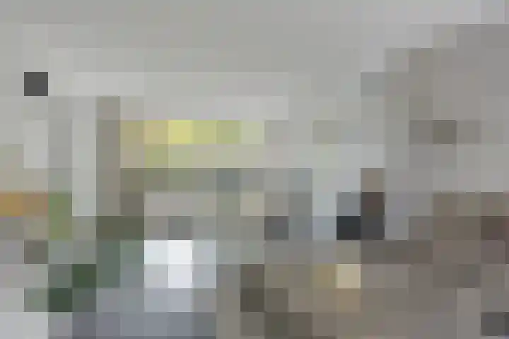 Dertien Loten 55 's-Hertogenbosch thumbnail 7