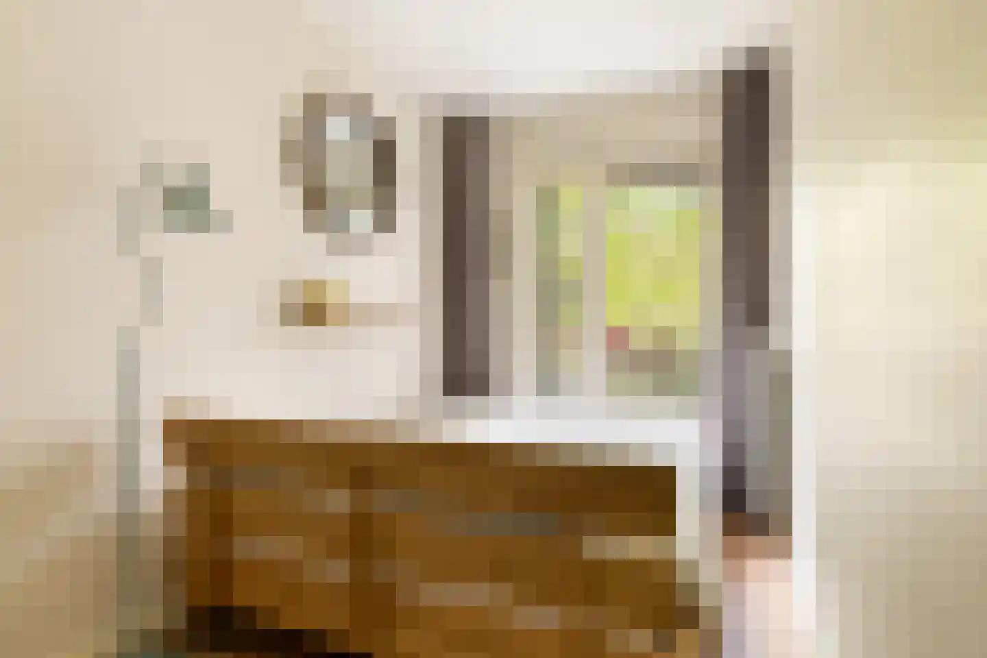 Des Présstraat 18 1 Amsterdam thumbnail 15