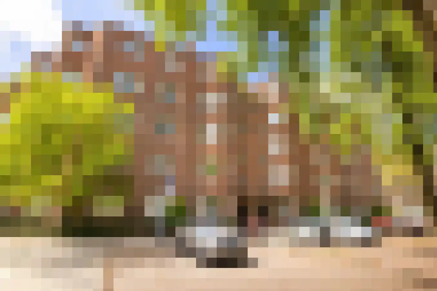 Des Présstraat 18 3 Amsterdam thumbnail 24
