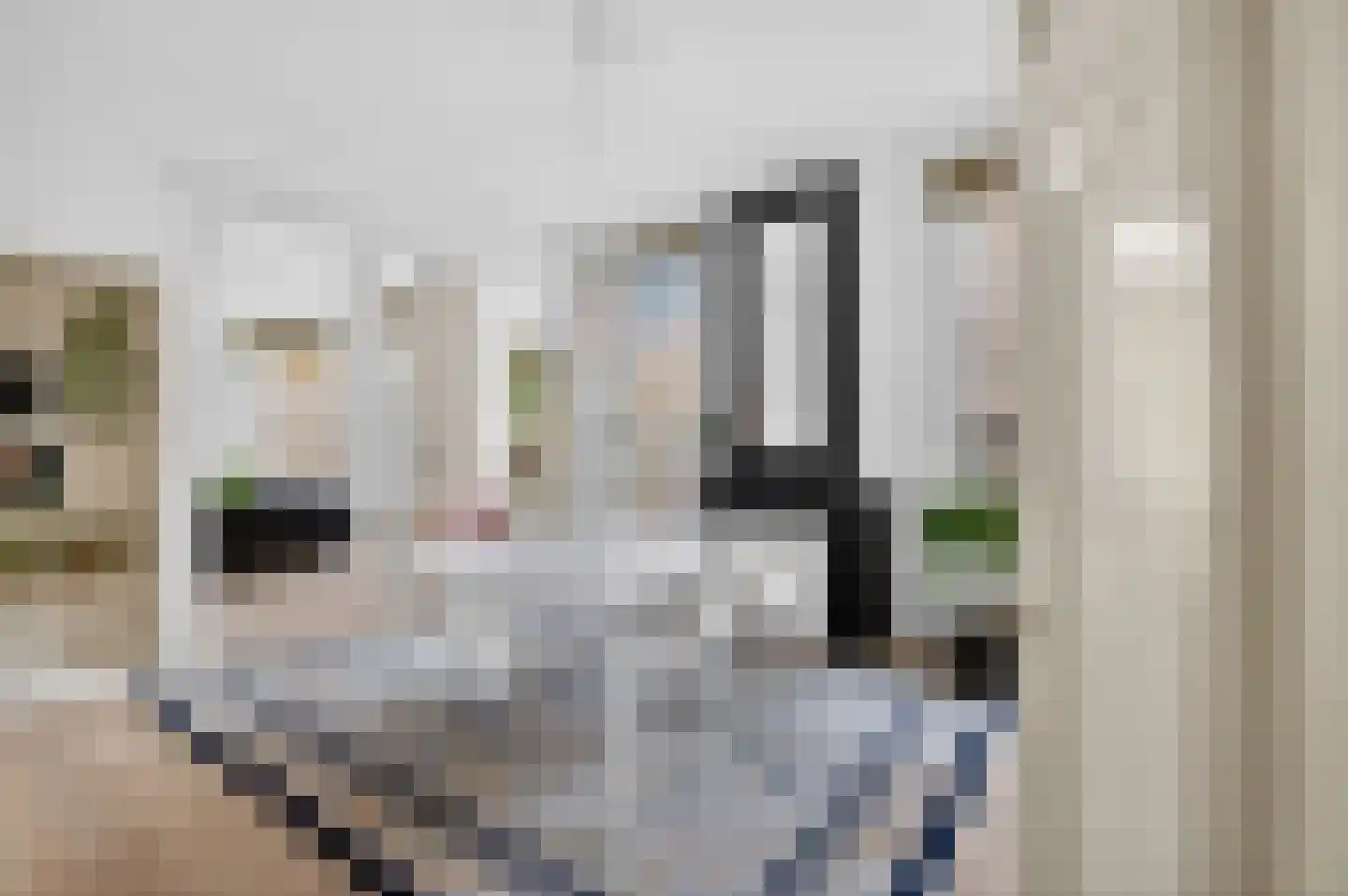 Des Présstraat 2 Amsterdam foto 2