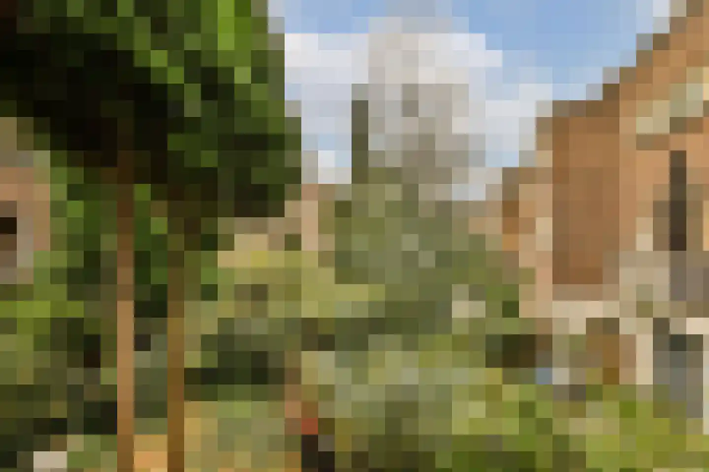 Des Présstraat 22 1 Amsterdam thumbnail 14