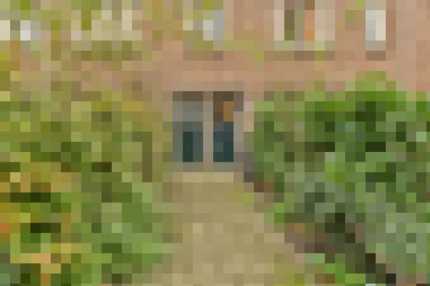Des Présstraat 22 1 Amsterdam thumbnail 19