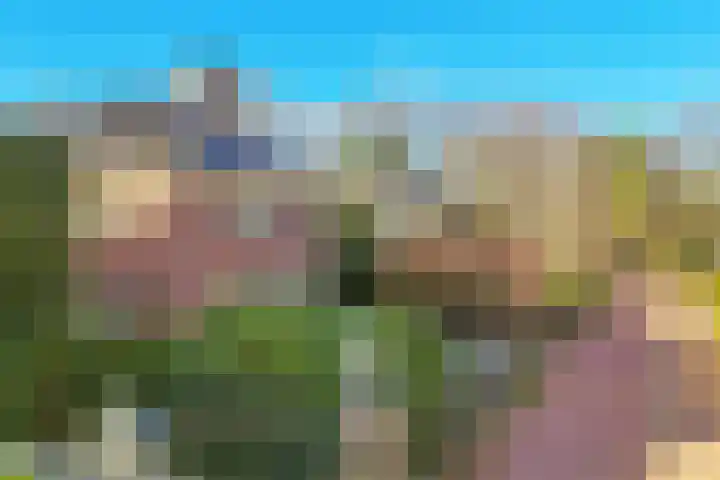 Descarteslaan 4 Zeist foto 2