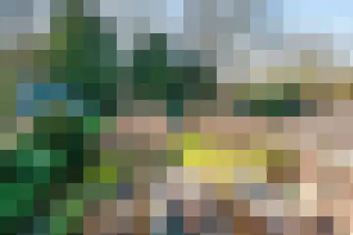 Descarteslaan 4 Zeist thumbnail 38