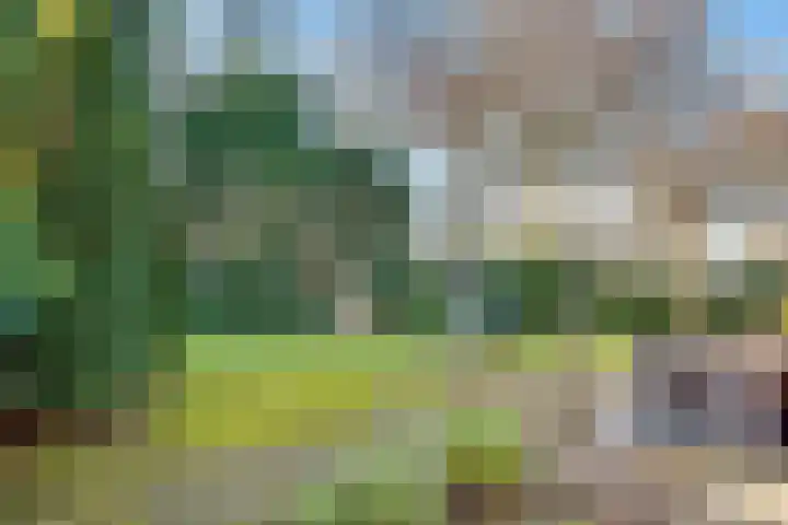 Descarteslaan 4 Zeist thumbnail 56