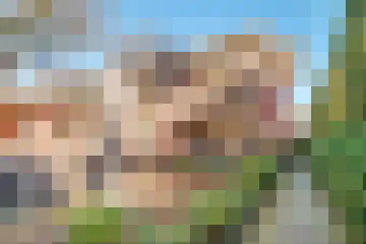 Descarteslaan 4 Zeist thumbnail 61