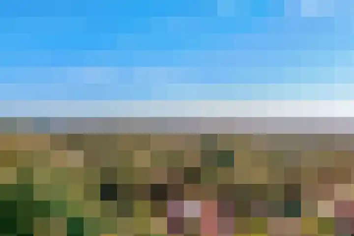 Descarteslaan 4 Zeist thumbnail 64