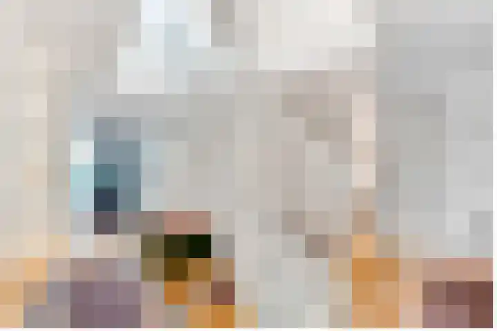 Descarteslaan 4 Zeist thumbnail 9