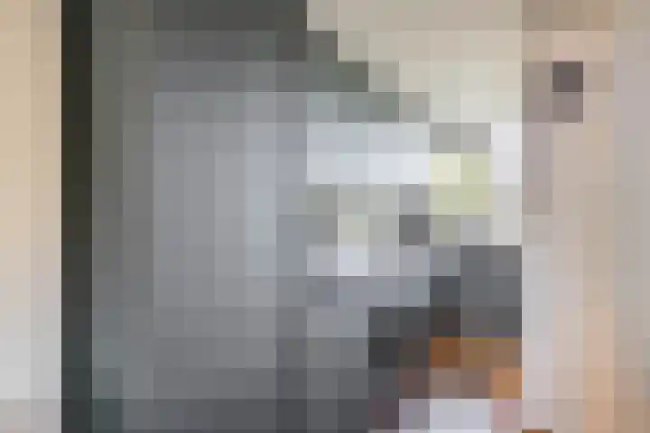 Desdemonastraat 129 Hoogvliet Rotterdam thumbnail 18