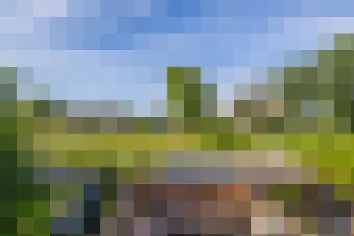 Desdemonastraat 129 Hoogvliet Rotterdam thumbnail 38