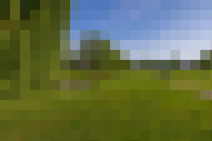 Desdemonastraat 129 Hoogvliet Rotterdam thumbnail 39