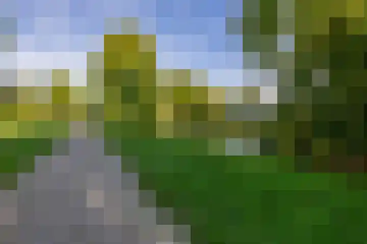 Desdemonastraat 129 Hoogvliet Rotterdam thumbnail 40