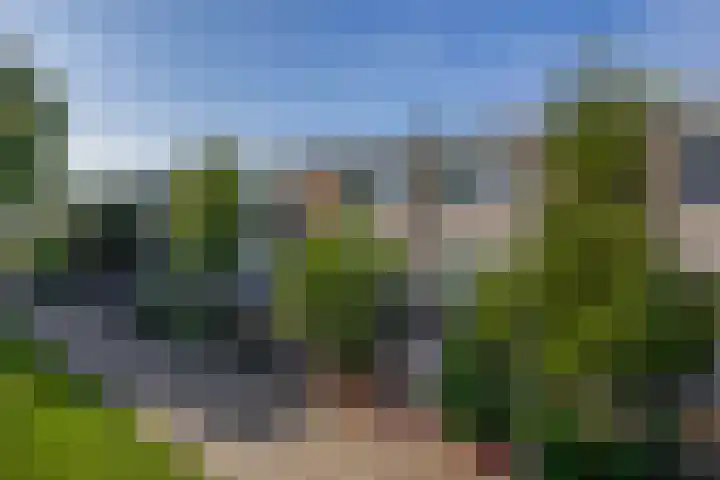 Desdemonastraat 129 Hoogvliet Rotterdam thumbnail 7