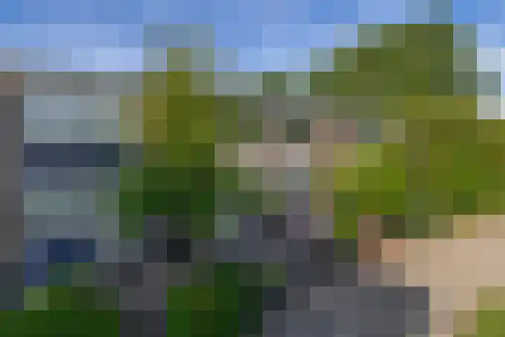 Desdemonastraat 129 Hoogvliet Rotterdam thumbnail 9