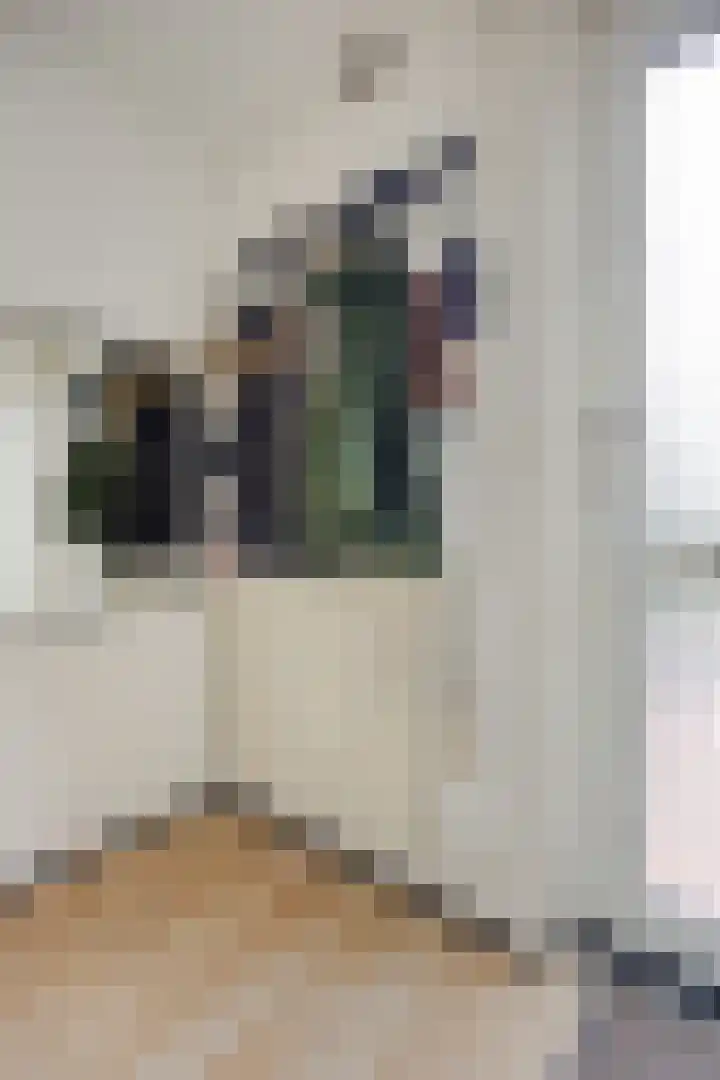Desdemonastraat 131 Hoogvliet Rotterdam thumbnail 13