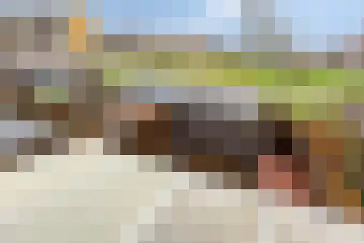 Desdemonastraat 131 Hoogvliet Rotterdam thumbnail 22