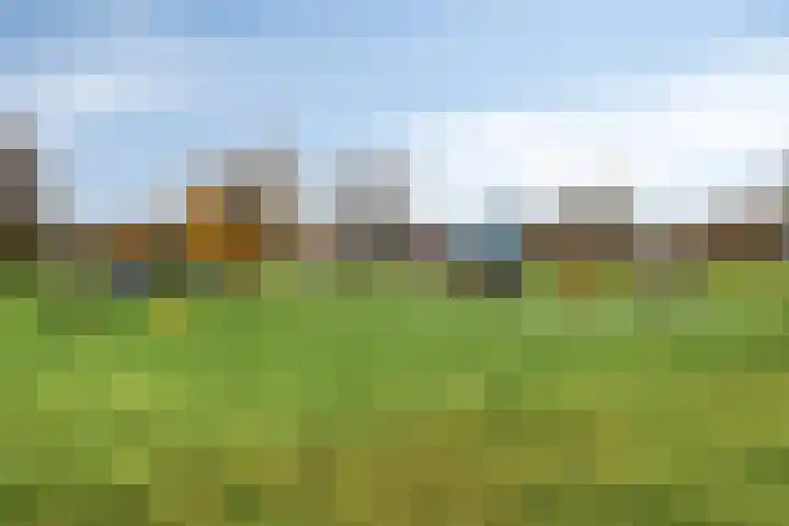 Desdemonastraat 131 Hoogvliet Rotterdam thumbnail 31