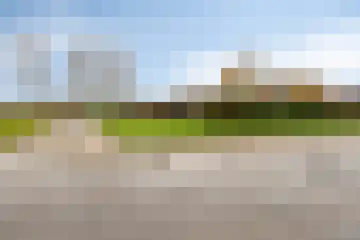 Desdemonastraat 131 Hoogvliet Rotterdam thumbnail 32