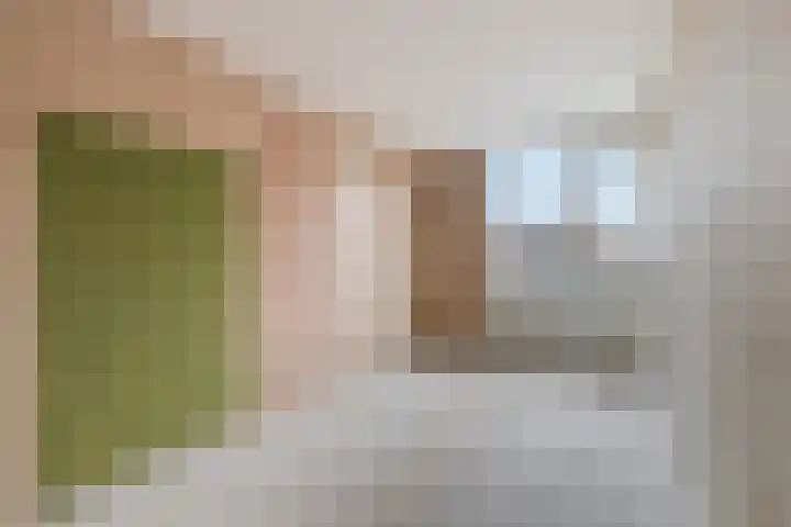 Desdemonastraat 195 Hoogvliet Rotterdam thumbnail 13