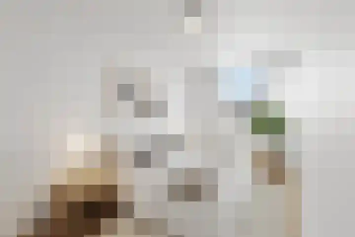 Desdemonastraat 195 Hoogvliet Rotterdam thumbnail 14