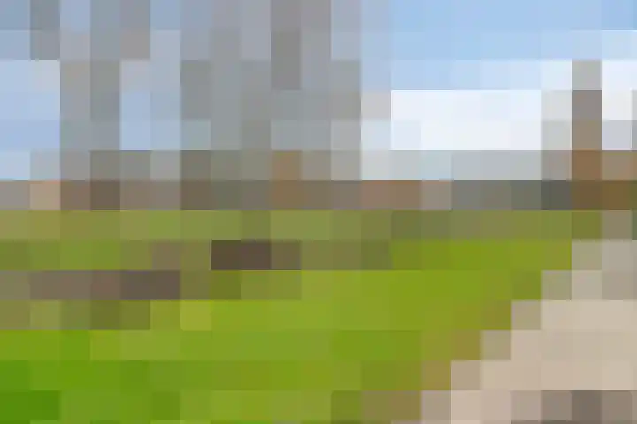 Desdemonastraat 195 Hoogvliet Rotterdam thumbnail 22