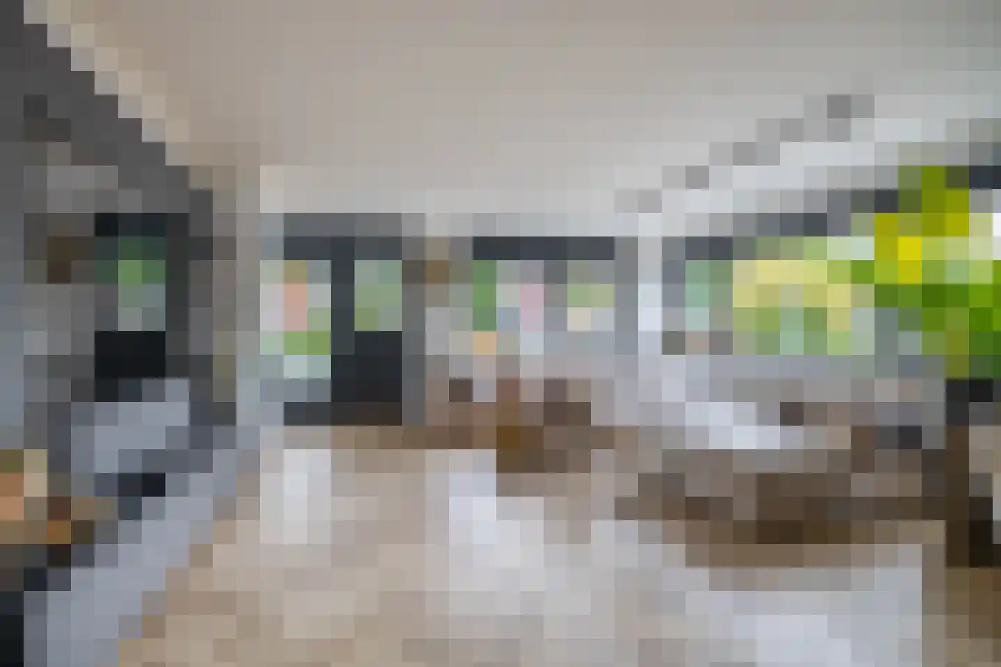 Desertosingel 117 Capelle aan den IJssel thumbnail 11
