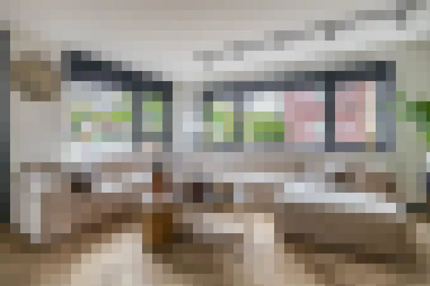 Desertosingel 117 Capelle aan den IJssel thumbnail 15