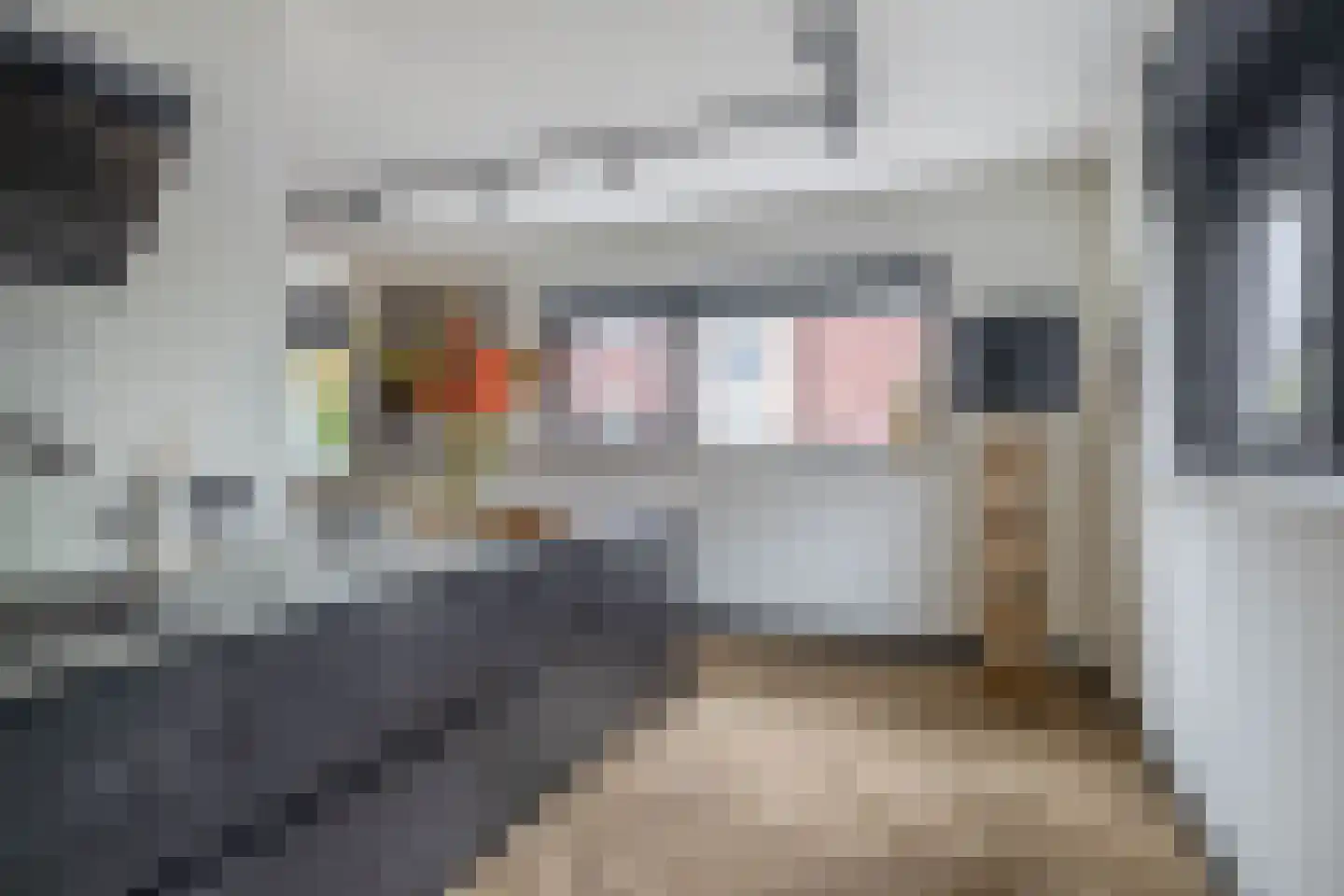Desertosingel 117 Capelle aan den IJssel thumbnail 21