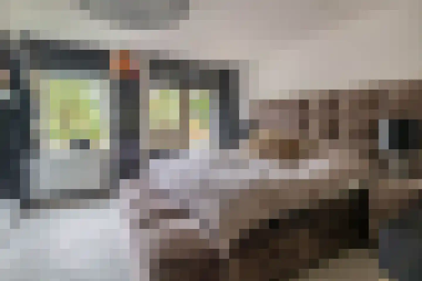 Desertosingel 117 Capelle aan den IJssel thumbnail 23