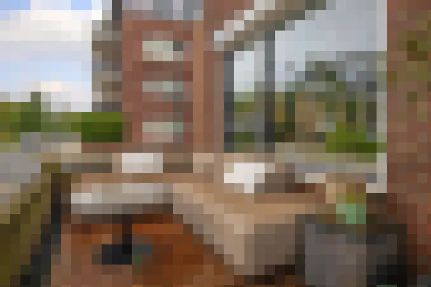 Desertosingel 117 Capelle aan den IJssel thumbnail 28