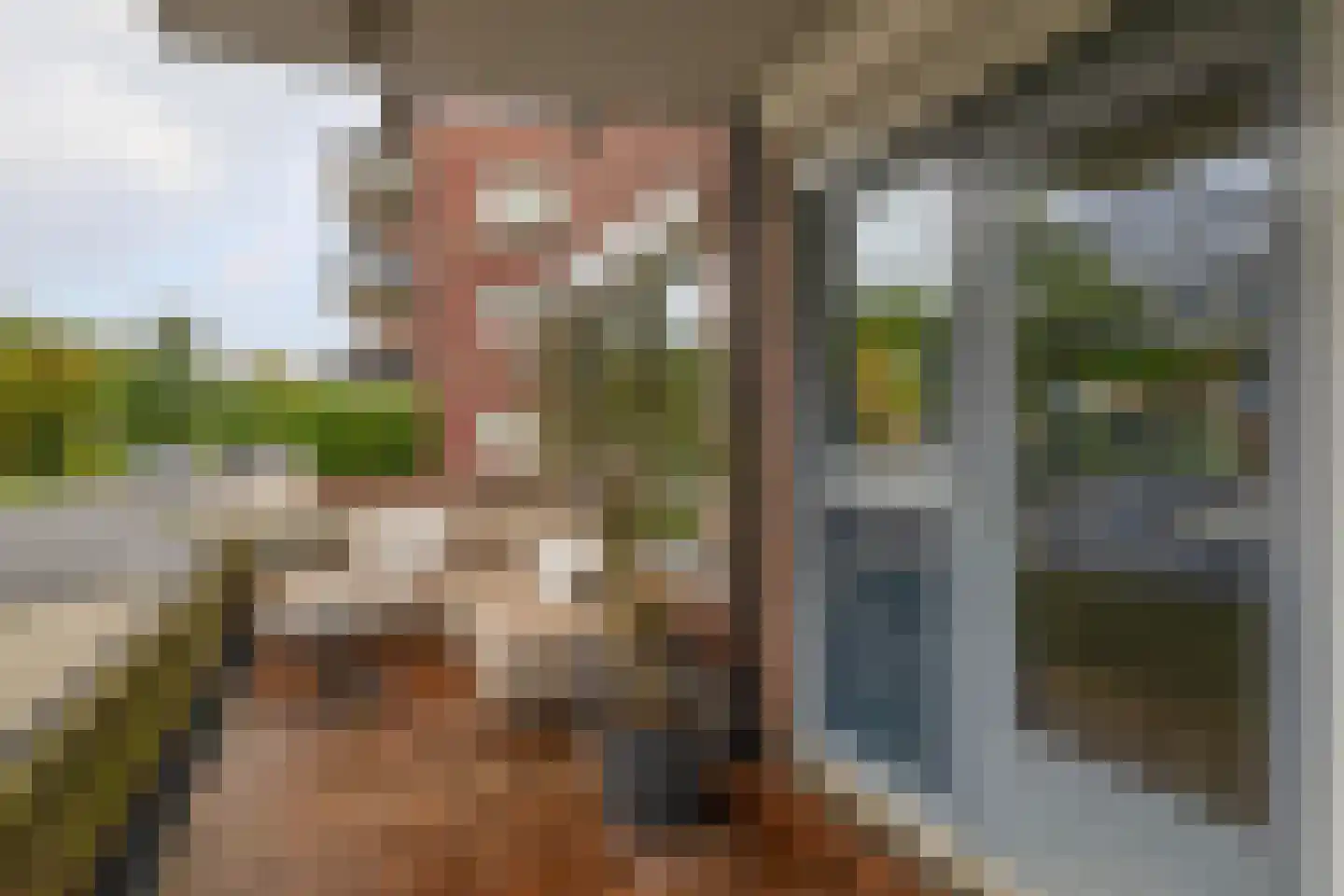 Desertosingel 117 Capelle aan den IJssel thumbnail 29