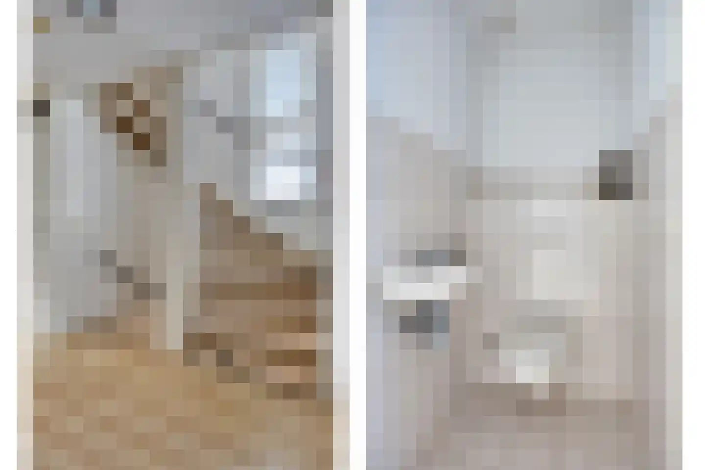 Désiehof 14 Capelle aan den IJssel thumbnail 26