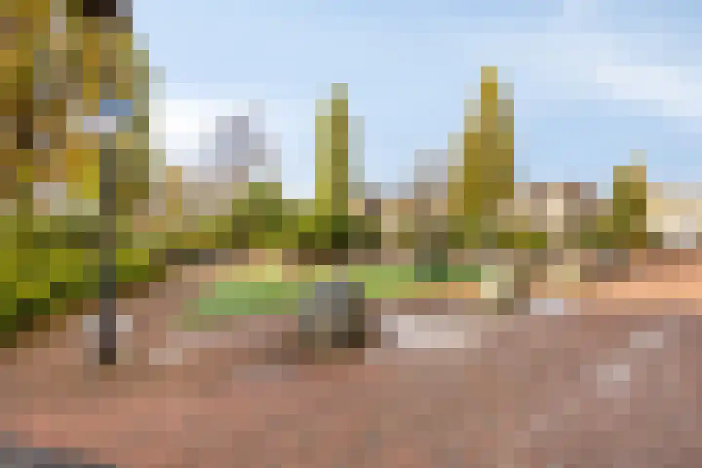 Désiehof 14 Capelle aan den IJssel thumbnail 38