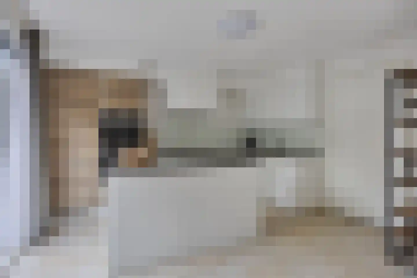 Désiehof 14 Capelle aan den IJssel thumbnail 5